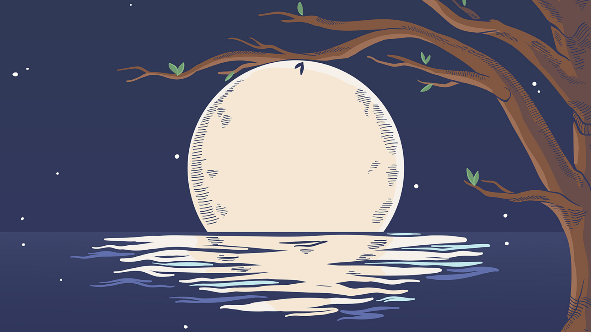 Hemp Capsules Daphne - Hemp Lotion Fairhope - Delta Moon Company